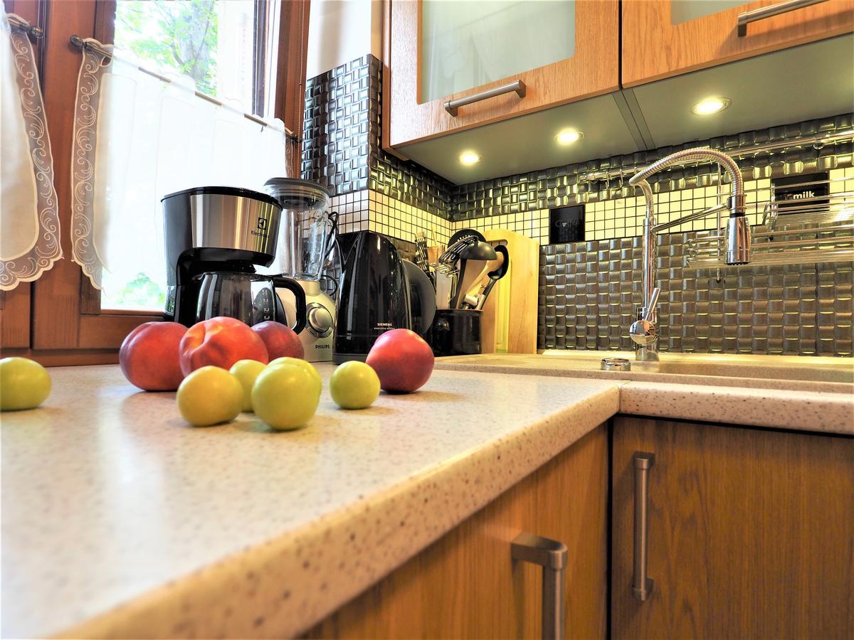 Vip Apartamenty Tetmajera Centrum 2 Zakopane Dış mekan fotoğraf